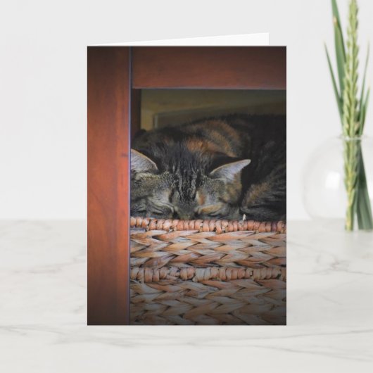 Jours lents, carte (Devant)