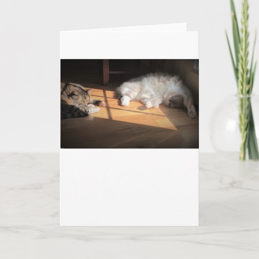 Jours lents, carte (Devant)