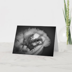 Jours lents, carte
