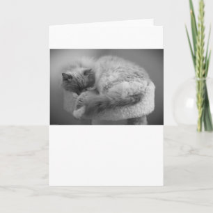 Jours lents, carte