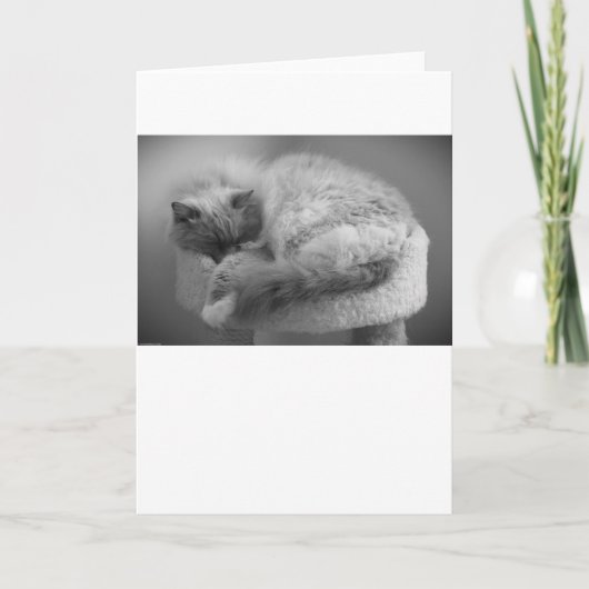 Jours lents, carte (Devant)