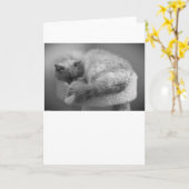 Jours lents, carte (Fleur jaune)