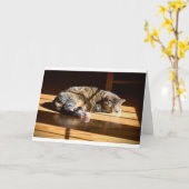 Jours lents, carte (Fleur jaune)