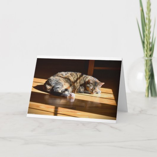 Jours lents, carte (Devant)