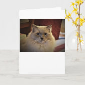 Jours lents, carte (Fleur jaune)