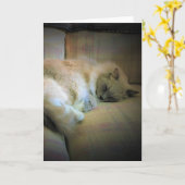 Jours lents, carte (Fleur jaune)