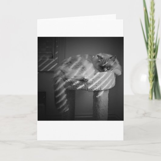 Jours lents, carte (Devant)