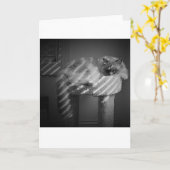 Jours lents, carte (Fleur jaune)