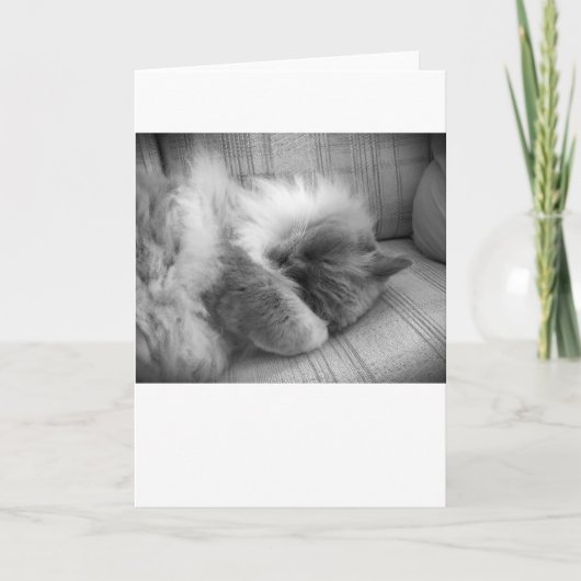 Jours lents, carte (Devant)