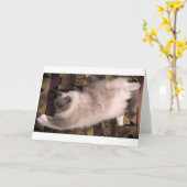 Jours lents, carte (Fleur jaune)