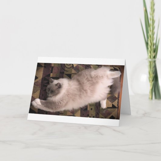 Jours lents, carte (Devant)