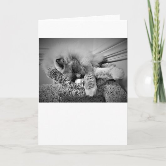 Jours lents, carte (Devant)