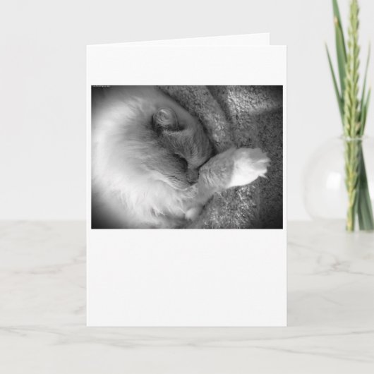 Jours lents, carte (Devant)
