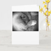 Jours lents, carte (Fleur jaune)