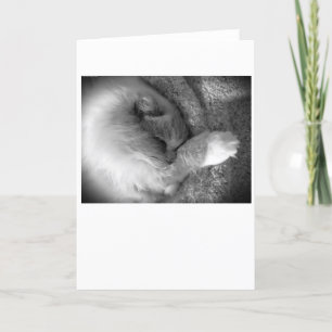 Jours lents, carte