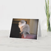 Jours lents, carte (Devant)