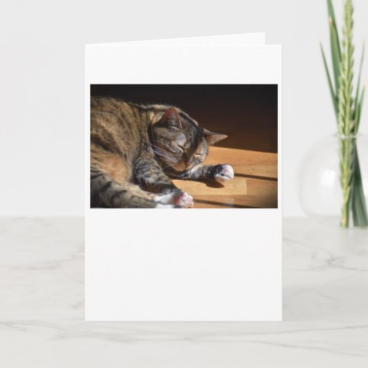 Jours lents, carte (Devant)