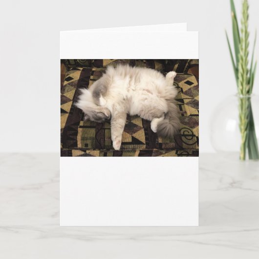 Jours lents, carte (Devant)