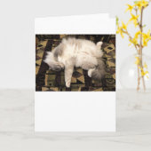 Jours lents, carte (Fleur jaune)