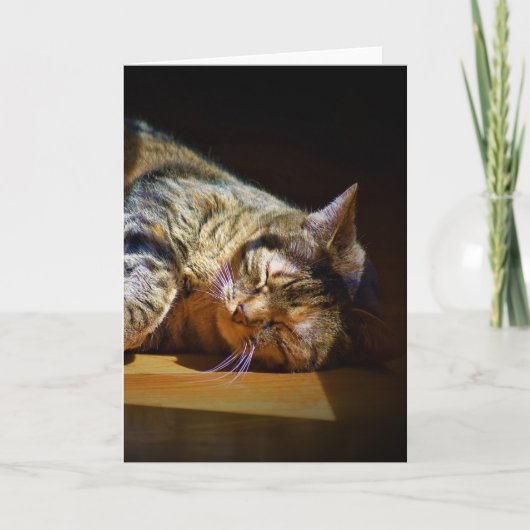 Jours lents, carte (Devant)