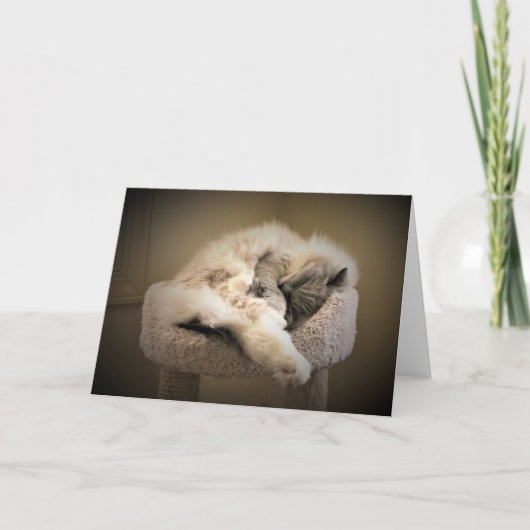 Jours lents, carte (Devant)