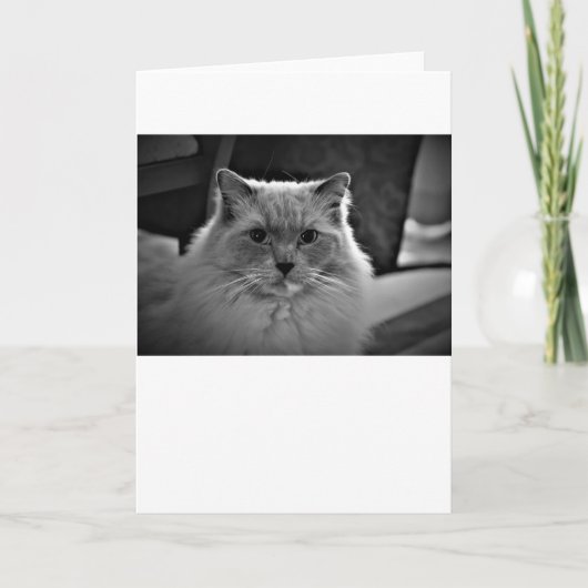 Jours lents, carte (Devant)