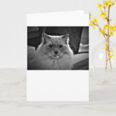 Jours lents, carte (Fleur jaune)