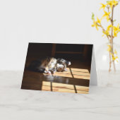 Jours lents, carte (Fleur jaune)