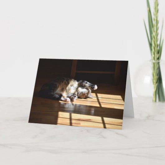 Jours lents, carte (Devant)