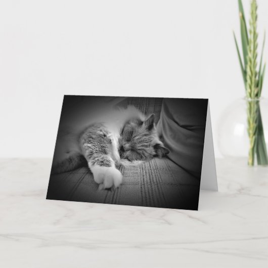 Jours lents, carte (Devant)