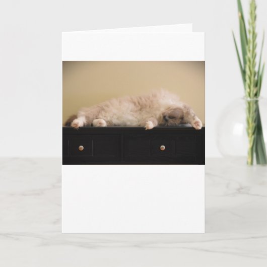 Jours lents, carte (Devant)