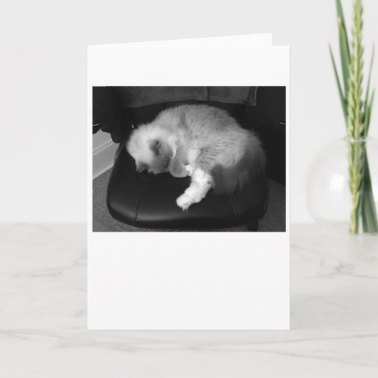 Jours lents, carte (Devant)