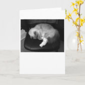 Jours lents, carte (Fleur jaune)