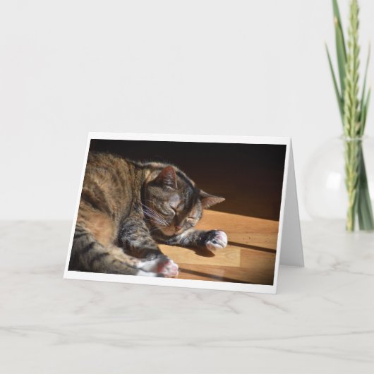 Jours lents, carte (Devant)