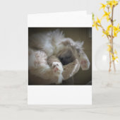 Jours lents, carte (Fleur jaune)