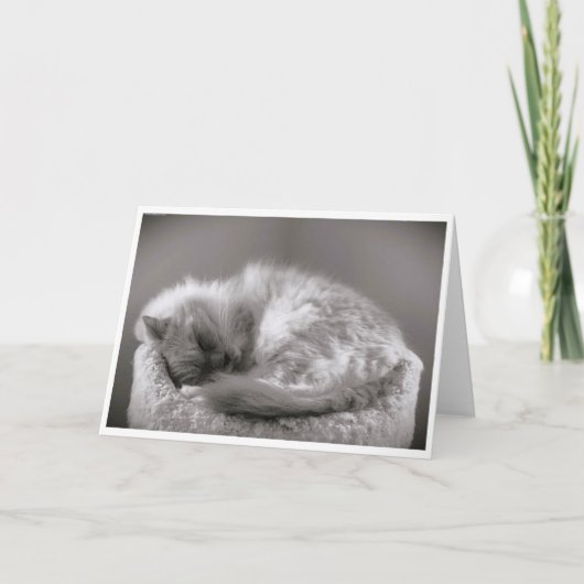 Jours lents, carte (Devant)