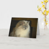 Jours lents, carte (Fleur jaune)