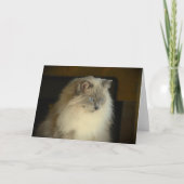 Jours lents, carte (Devant)