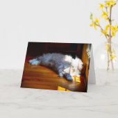 Jours lents, carte (Fleur jaune)