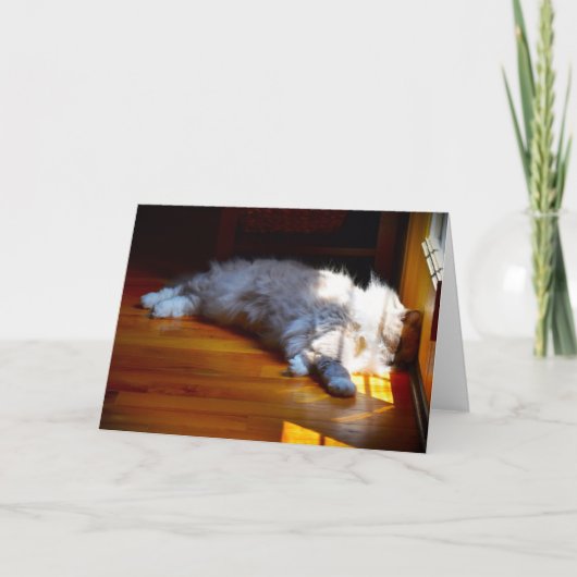 Jours lents, carte (Devant)
