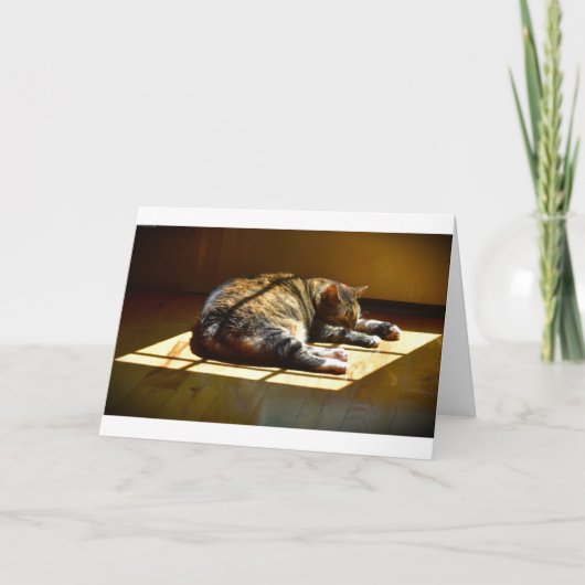 Jours lents, carte (Devant)