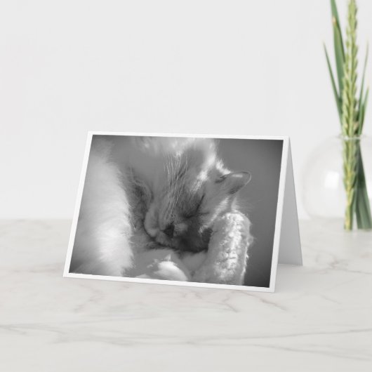 Jours lents, carte (Devant)