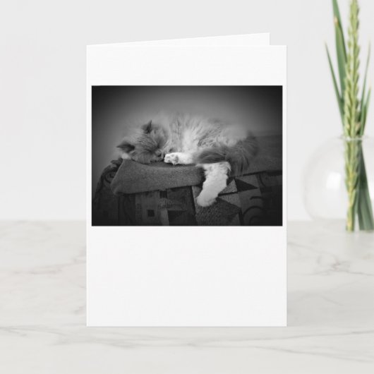 Jours lents, carte (Devant)