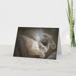 Jours lents, carte