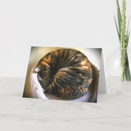 Jours lents, carte (Devant)