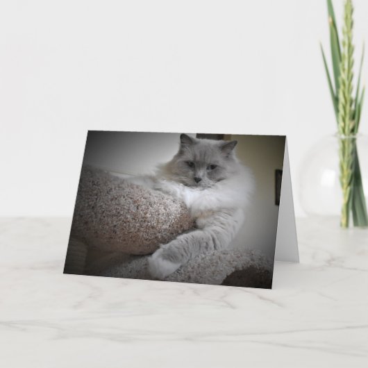 Jours lents, carte (Devant)