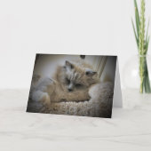 Jours lents, carte (Devant)