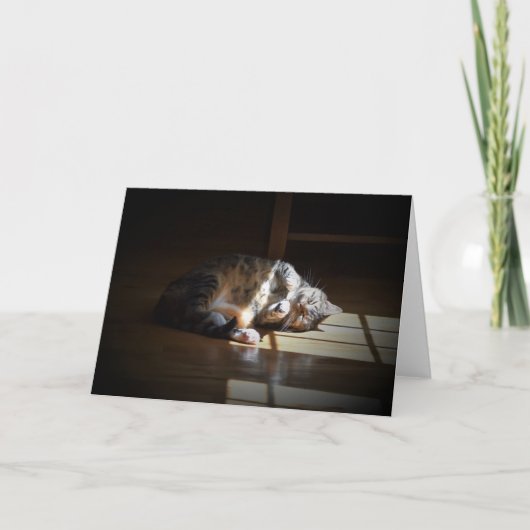 Jours lents, carte (Devant)