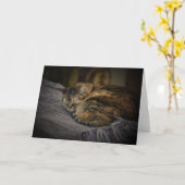 Jours lents, carte (Fleur jaune)