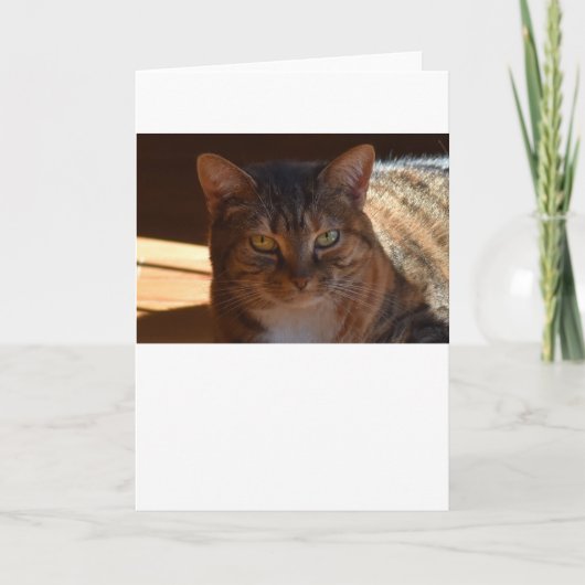 Jours lents, carte (Devant)